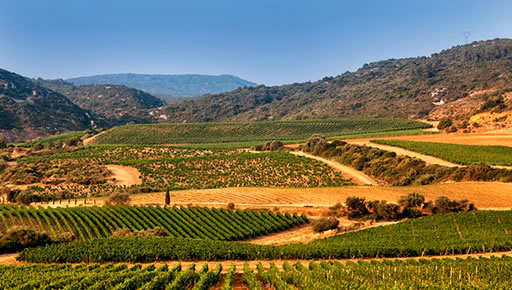 Domaine du Château de Lastours 11